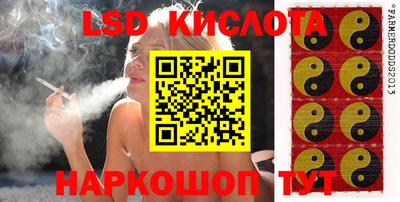 эйфоретик Кандалакша