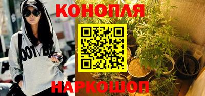 наркотики Камышлов