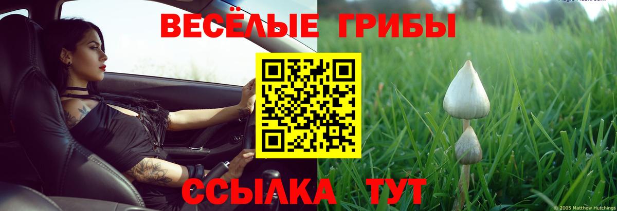 Галлюциногенные грибы ЛСД Лесозаводск